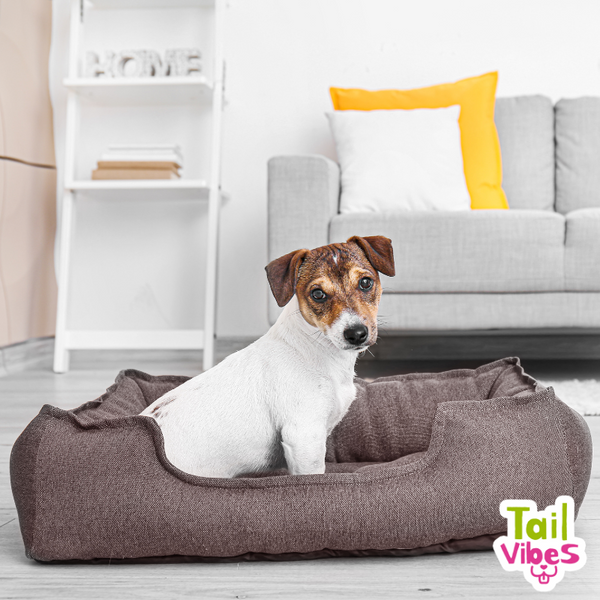 Why Every Dog Needs Their Own Bed: The Importance of Personal Space for Your Pet
