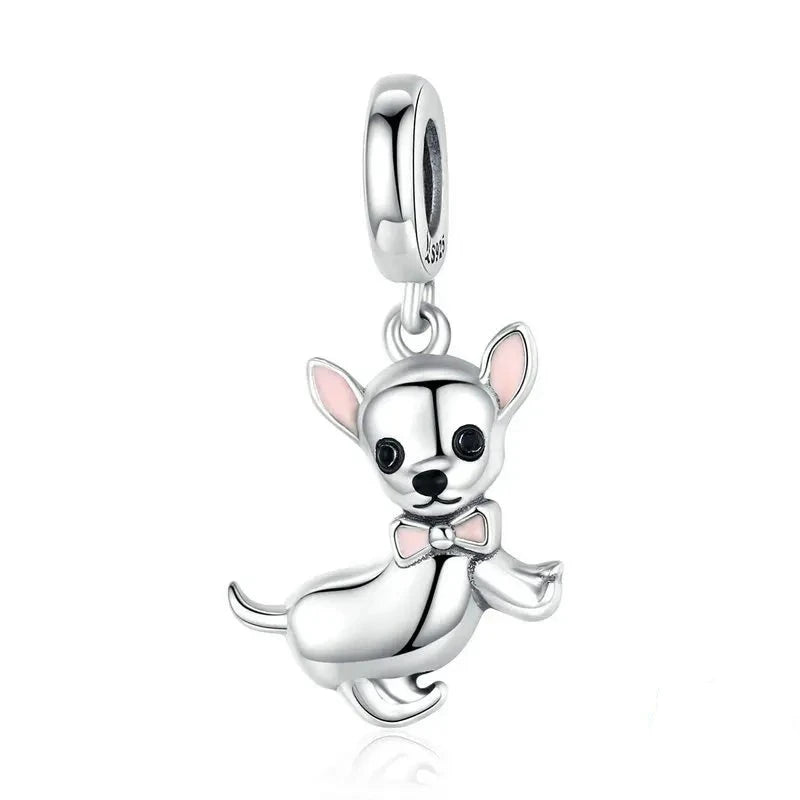 Chihuahua Charm