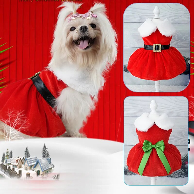 Celebrate Christmas dressing your dog with our Christmas dog dress. 