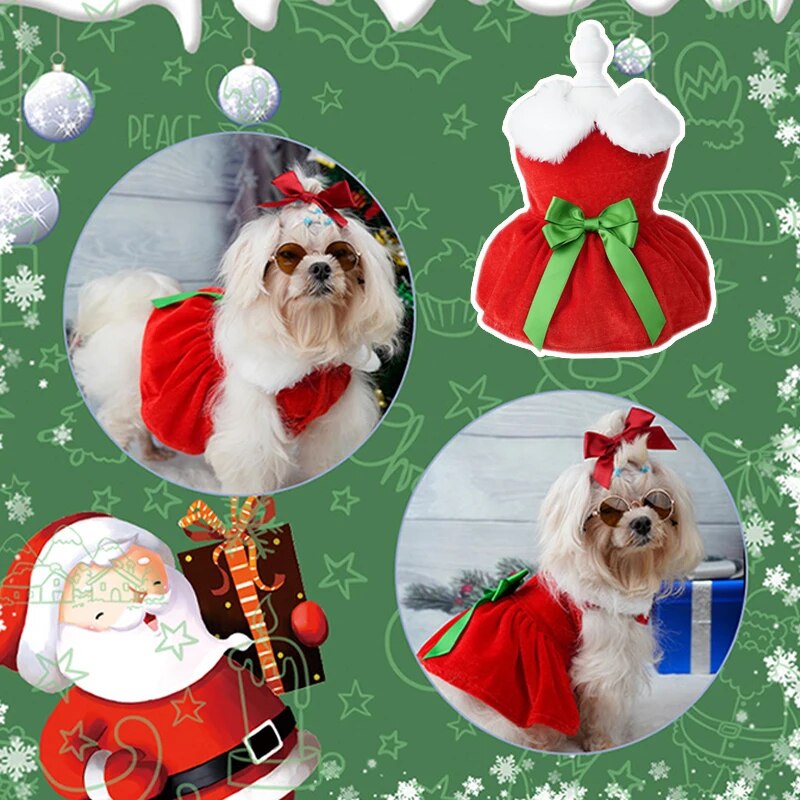 Celebrate Christmas dressing your dog with our Christmas dog dress. 