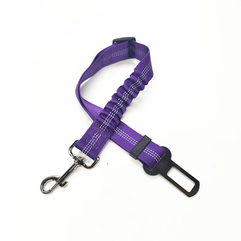 Dog Seat Belt purple