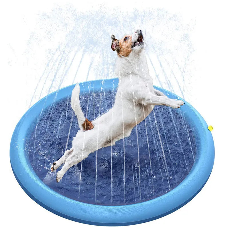 A dog splash pad with a dog inside 