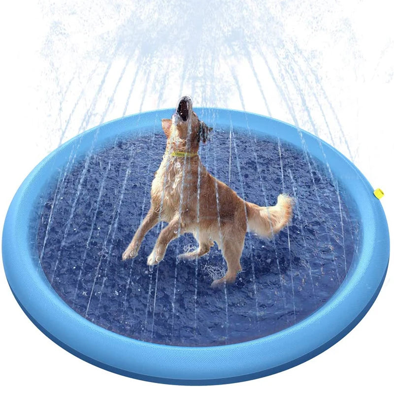 Dog splash pad with water