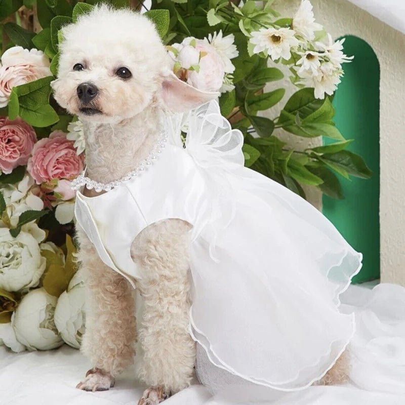 Dog Wedding Dress - Tail Vibes