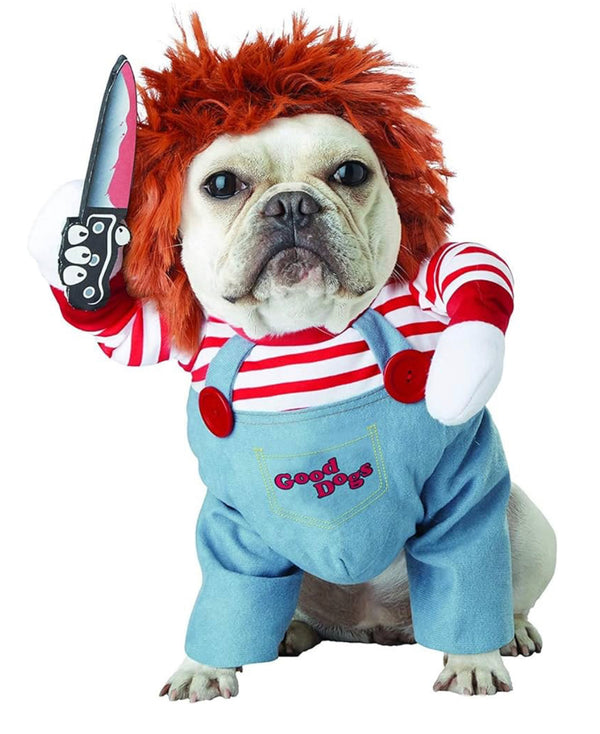 Funny Dog Costume