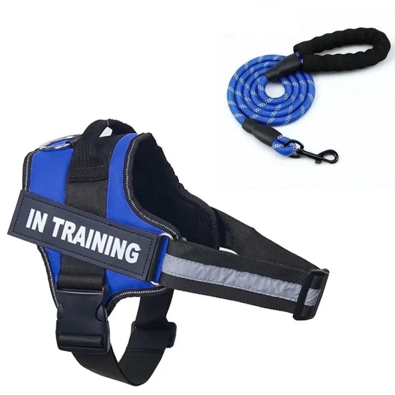 Personalized dog leash blue