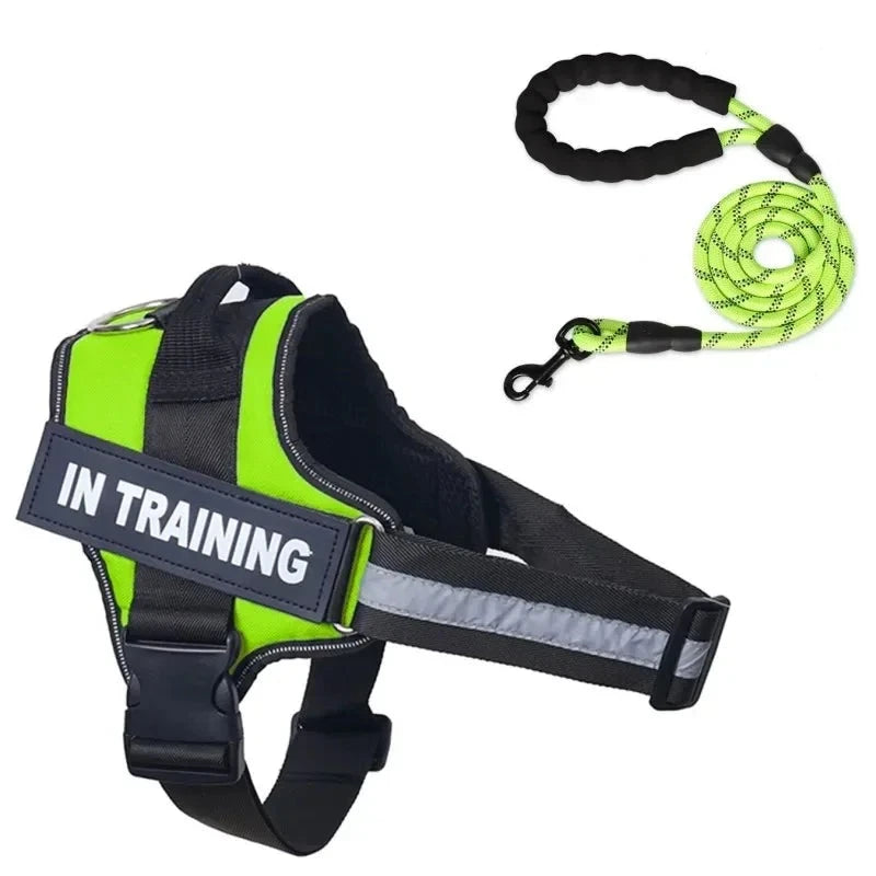 Personalized dog leash green