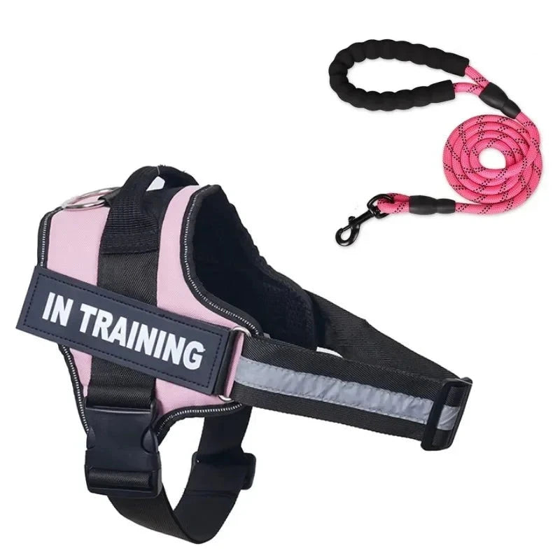 Personalized dog leash light pink 