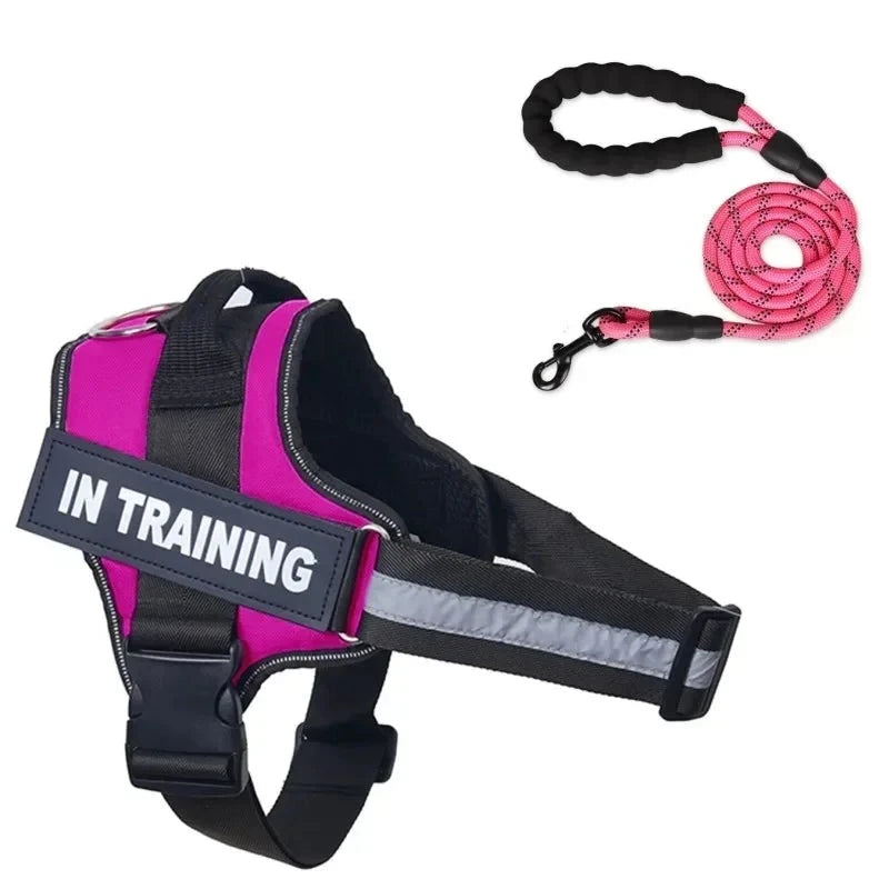 Personalized dog leash pink 