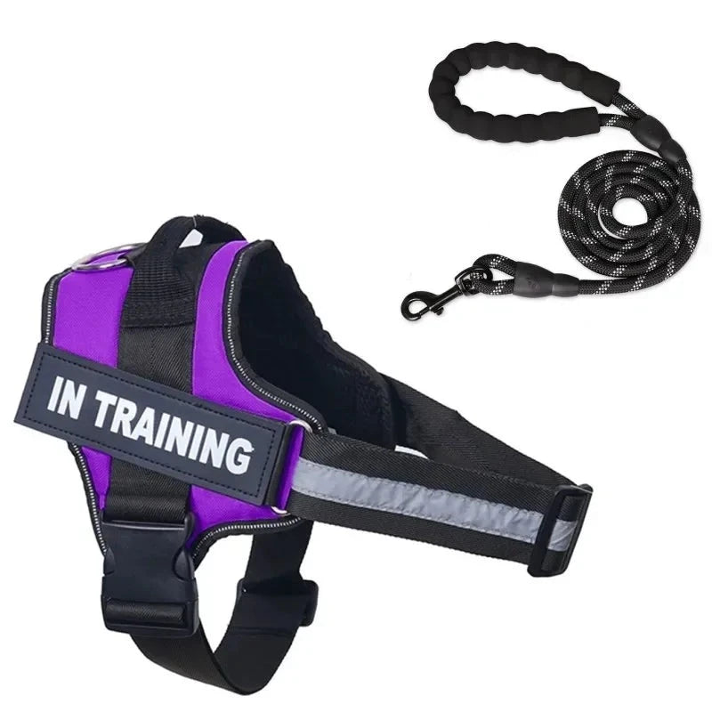 Personalized dog leash purple