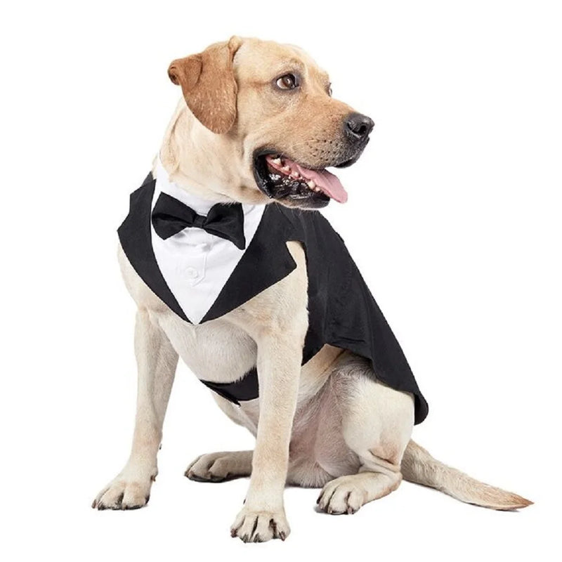 Dog Wedding Outfit