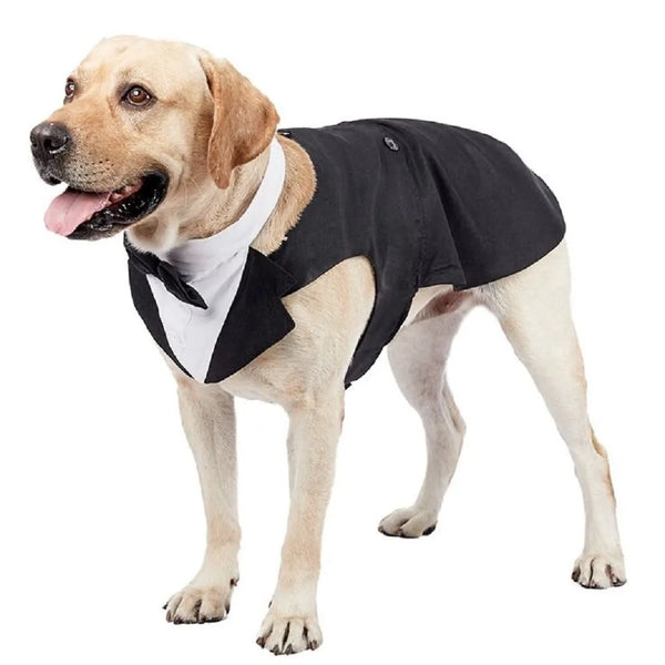 Dog Wedding Outfit