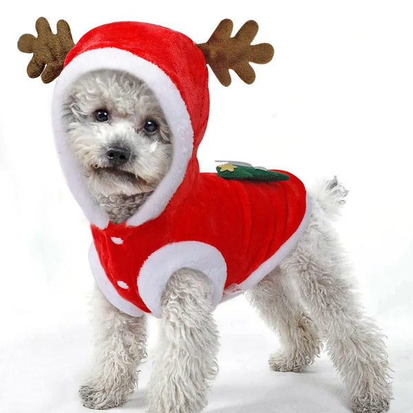 Dog Christmas Outfit