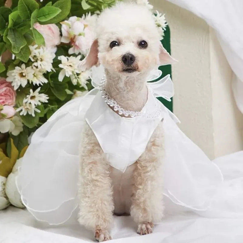 Dog Wedding Dress - Tail Vibes