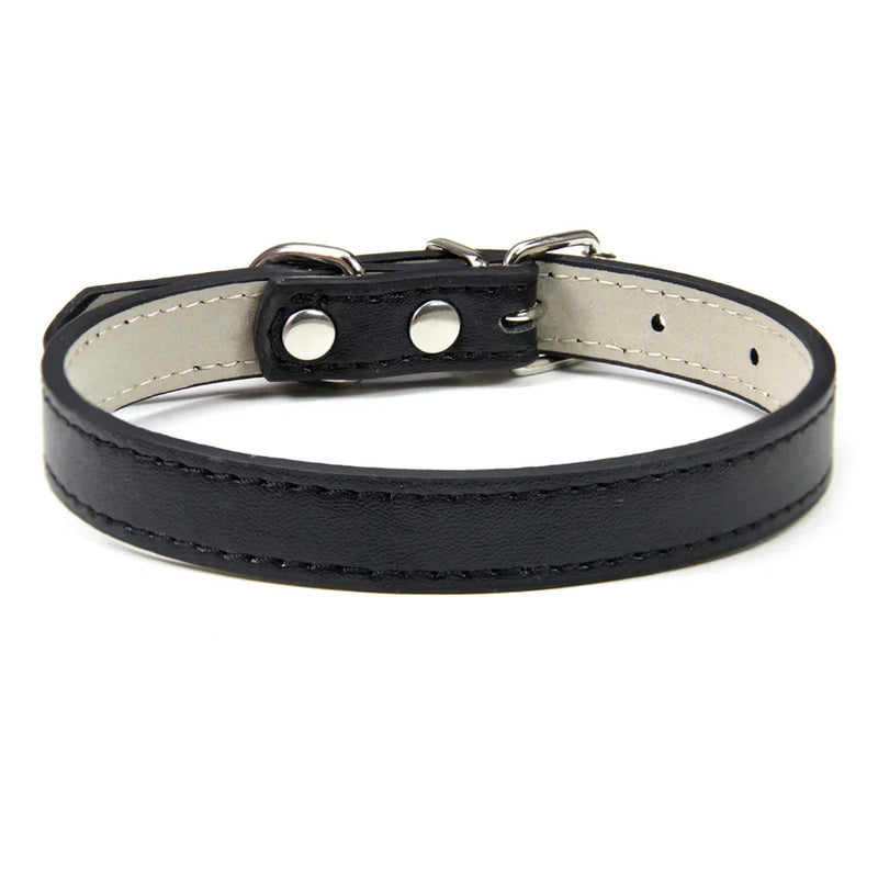 Adjustable Pet Collar black - Tail Vibes