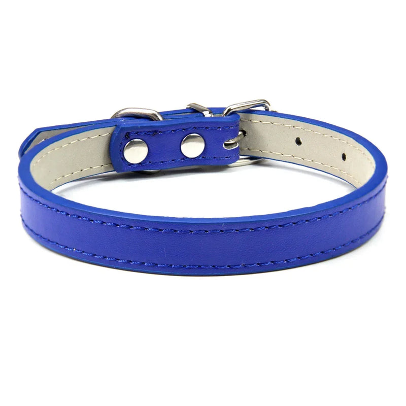 Adjustable Pet Collar blue - Tail Vibes