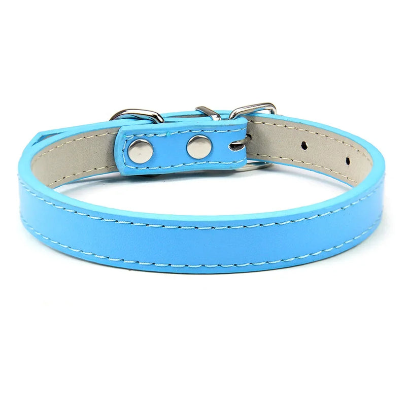 Adjustable Pet Collar light blue - Tail Vibes